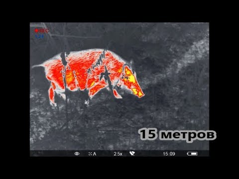 Деловая газета _Взгляд_ – последние новости